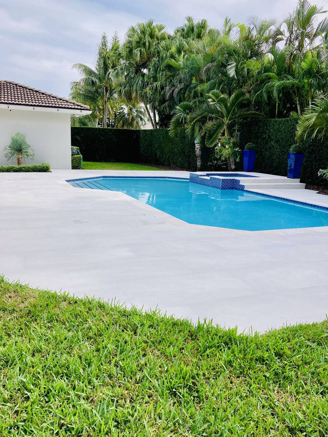 Pool deck and lawn with palm hedge